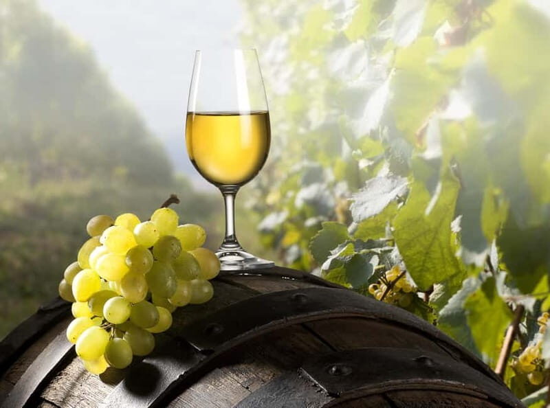 Maribor & Styria Tour with Wine Tasting - Who Will Love This Tour?