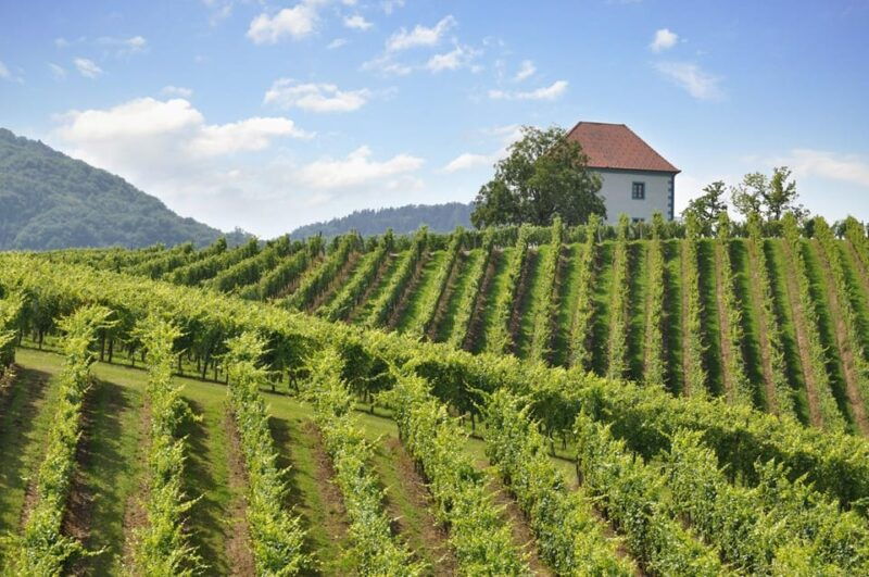 maribor-styria-tour-with-wine-tasting