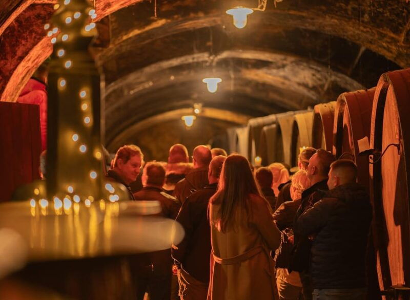 maribor-vinag-wine-cellar-tour-with-wine-tasting-and-snacks