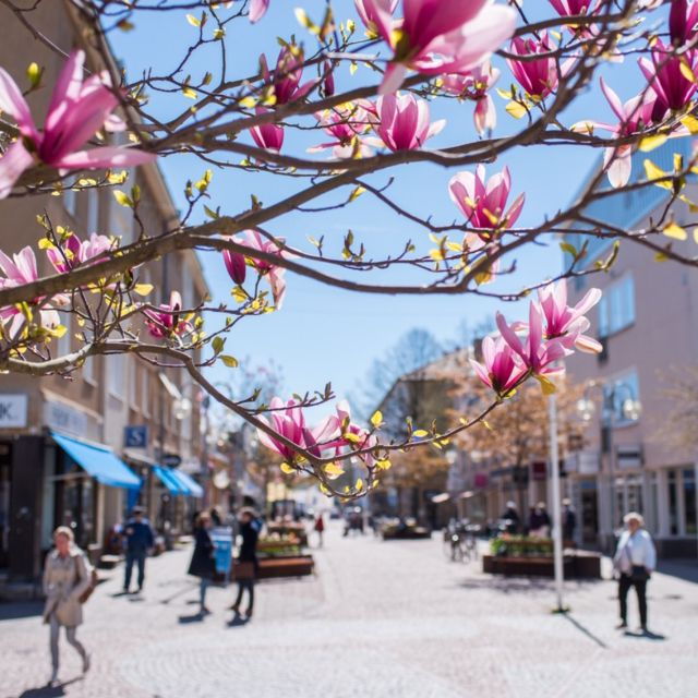 mariehamn-private-guided-walking-tour-2