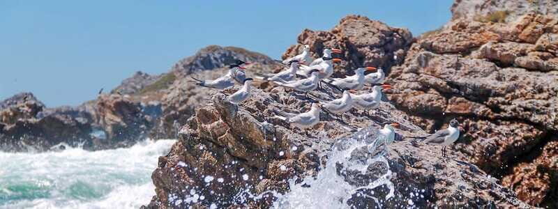 Marietas Islands & Beach BBQ Majahuitas: Puerto Vallarta - Frequently Asked Questions