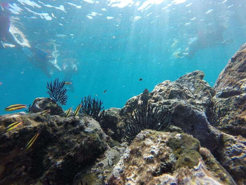 Marietas Islands safari - Key Points