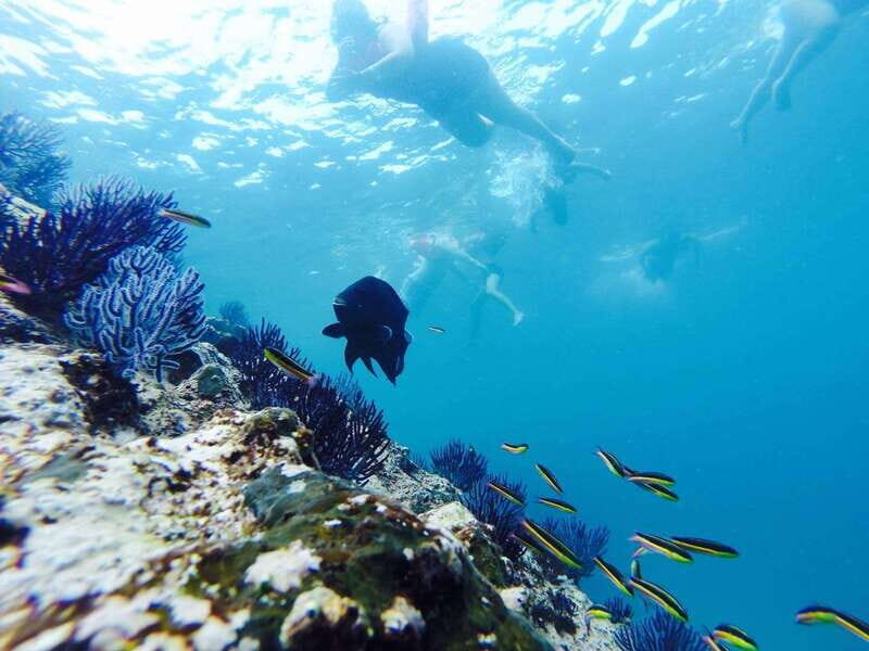 Marietas Islands safari - Who Is This Tour Best For?