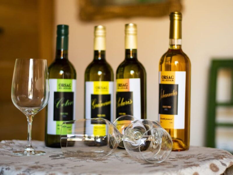 marija-bistrica-e-bikes-to-the-wineries-of-zlatar-city