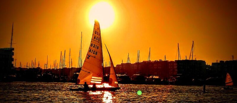 Marina Del Rey Luxury Boat Cruise Wine, Charcuterie Sealions - FAQs