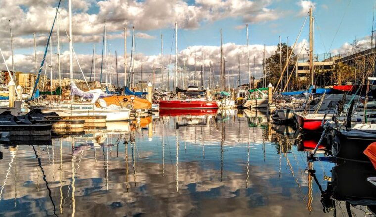 marina-del-rey-luxury-boat-cruise-with-cheese-charcuterie