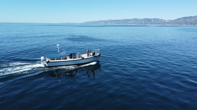Marina Del Rey Party Boat 1 to 15 Passengers - Key Points