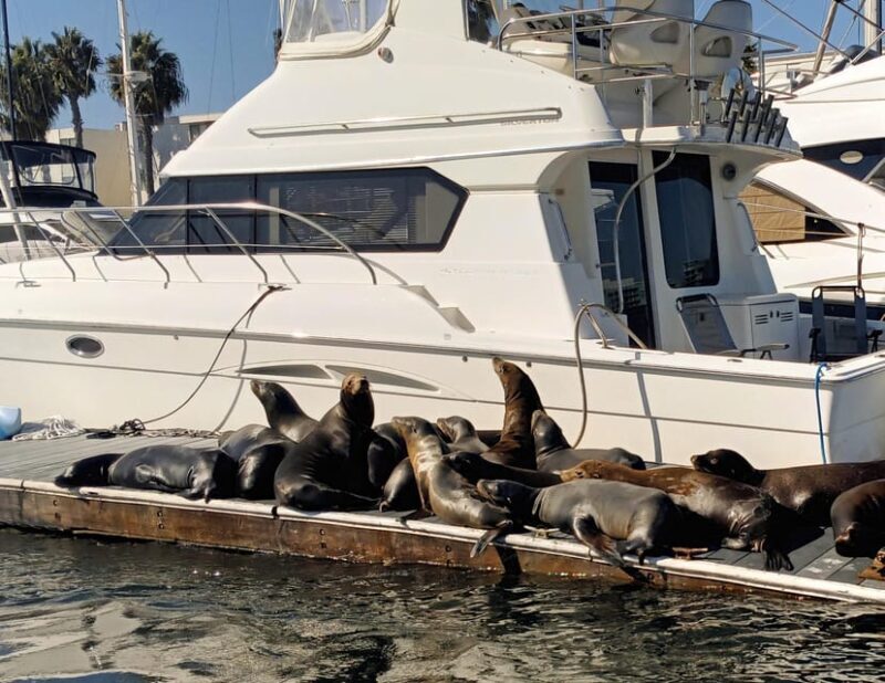 Marina Del Rey: Romantic Cruise, Dinner Charcuterie or Sushi - An In-Depth Look at the Experience