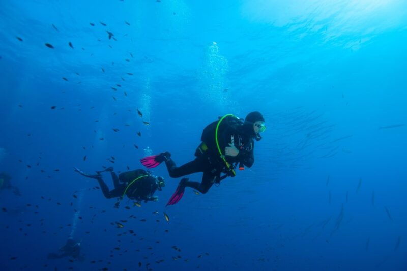 marina-di-campo-diving-on-the-island-of-elba-and-pianosa