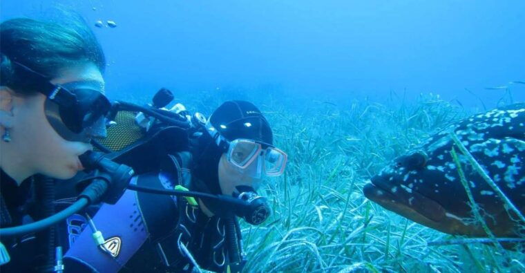 marina-di-campo-diving-on-the-island-of-elba-and-pianosa