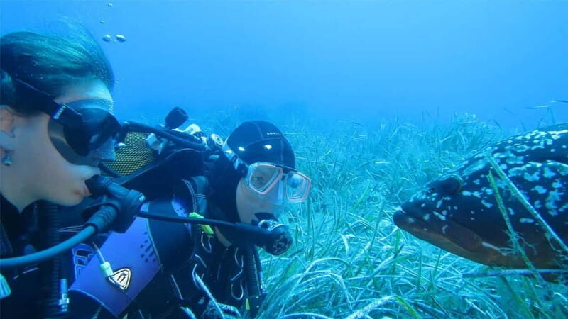 Marina di Campo: diving on the island of Elba - The Experience in Detail