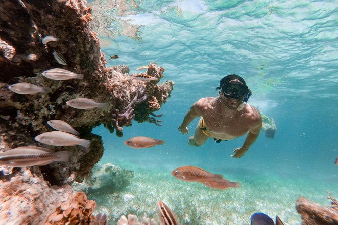 marinarium-snorkeling-cruise-from-bayahibe