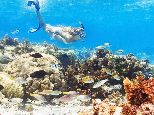 marinarium-snorkeling-cruise-from-punta-cana