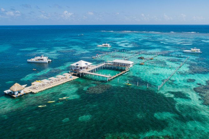 marinarium-snorkeling-cruise-from-punta-cana