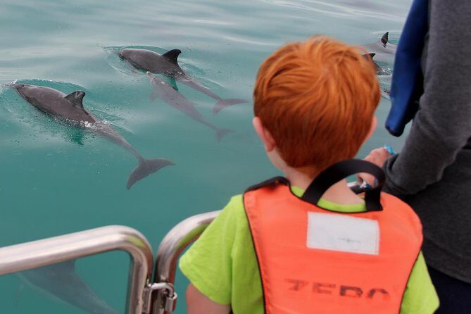 Marine Big 5 Safari full day trip from Cape Town - FAQ