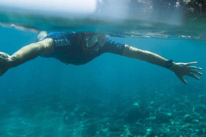 marine-biology-snorkelling-experience-in-the-cinque-terre