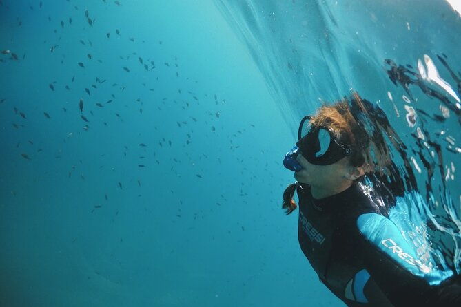 marine-biology-snorkelling-experience-in-the-cinque-terre