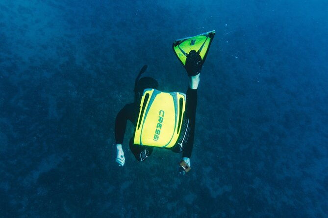marine-biology-snorkelling-experience-in-the-cinque-terre