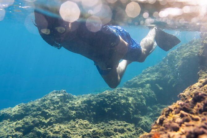 marine-biology-snorkelling-experience-in-the-cinque-terre