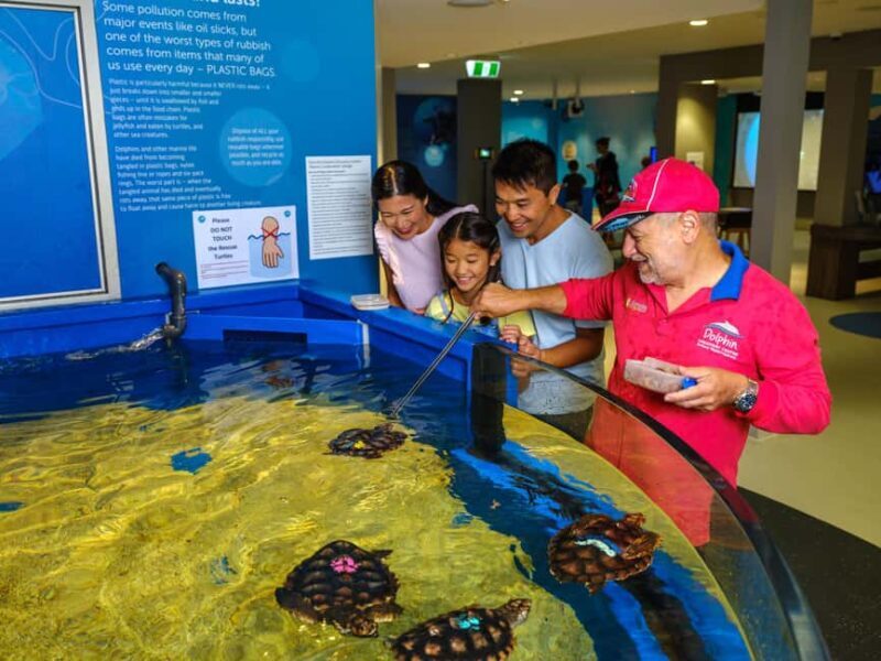 Marine Discovery Centre - Authentic Experiences from Reviewers