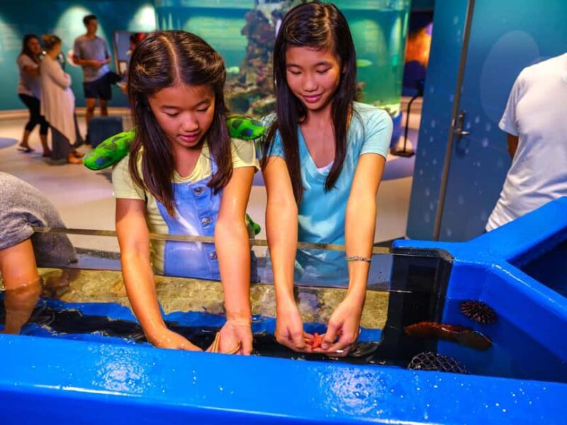 Marine Discovery Centre - Why This Tour Stands Out