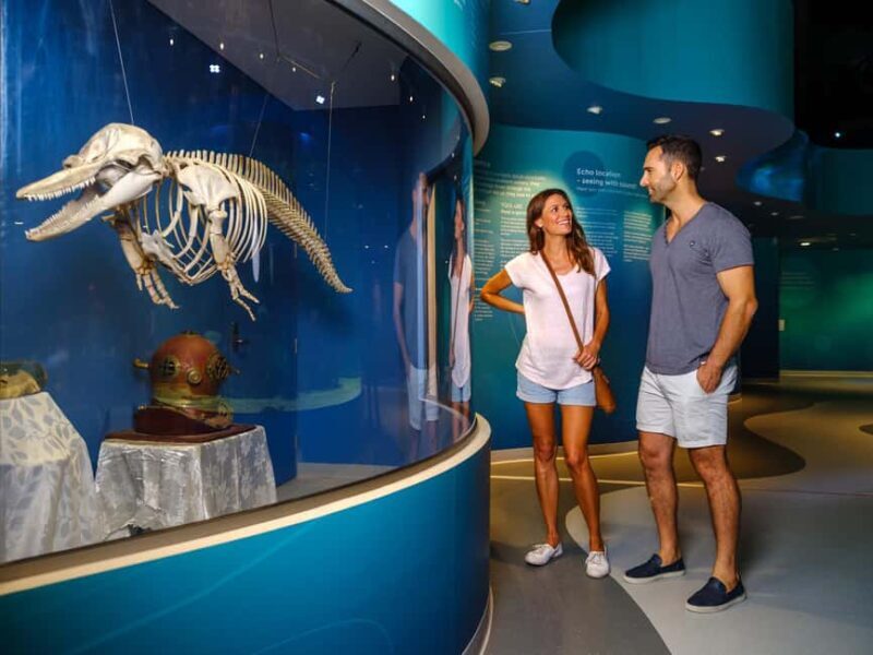 Marine Discovery Centre - Who Would Love This Experience