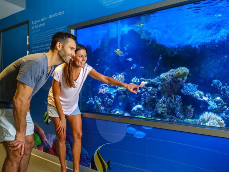 Marine Discovery Centre - FAQ