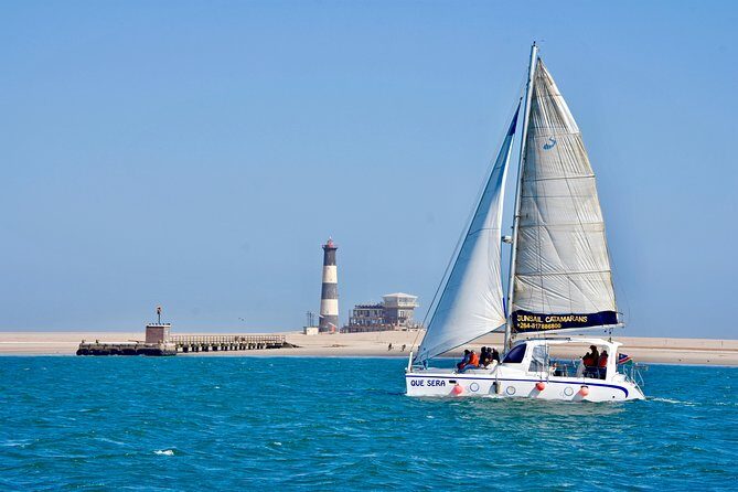 Marine Dolphin Seal Cruise - An In-Depth Look at the Walvis Bay Marine Eco Cruise Experience