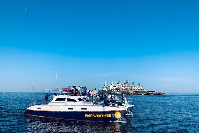 Marine Dolphin Seal Cruise - Who Will Love This Tour?