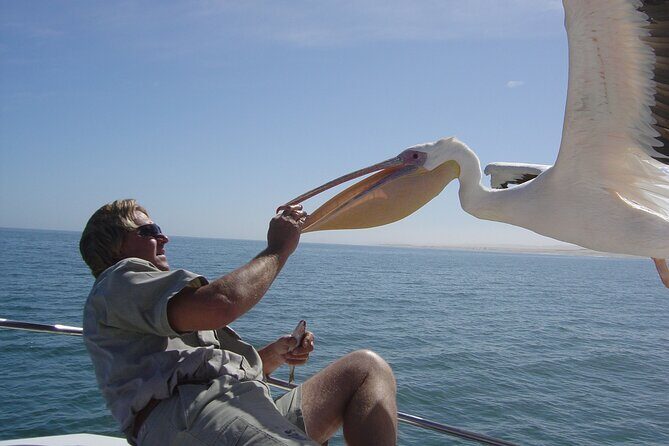 Marine Dune Day: Catamaran Cruise and Sandwich Harbor Dune Drive - FAQ