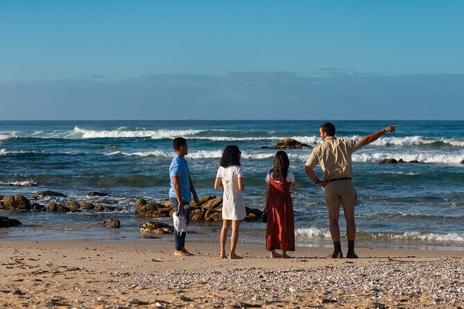 Marine Eco Safari - Exploring the Marine Eco Safari: What to Expect