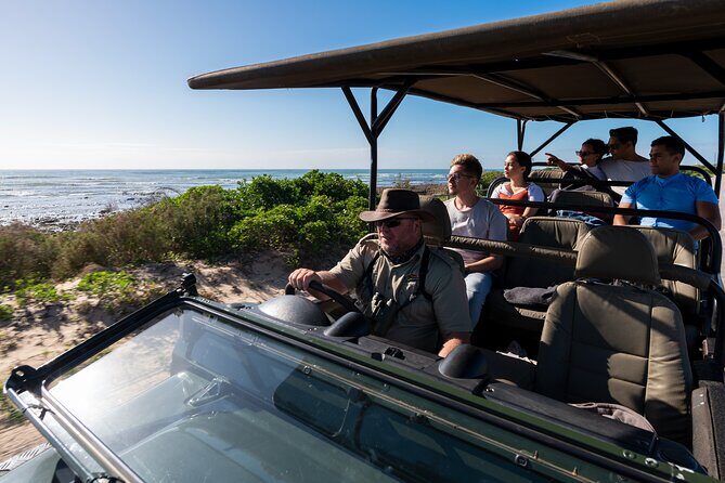 Marine Eco Safari - Who Should Consider This Tour?
