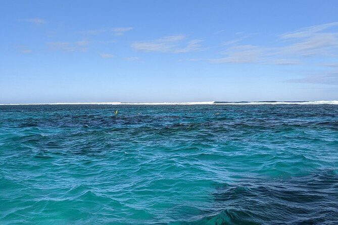 Marine Eco Safari - Swim with Manta Rays - Practical Tips for Booking and Preparing