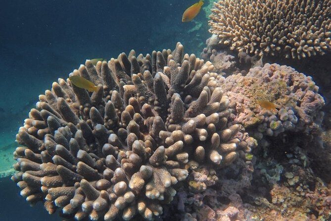 Marine Eco Safari - Swim with Manta Rays - Final Thoughts