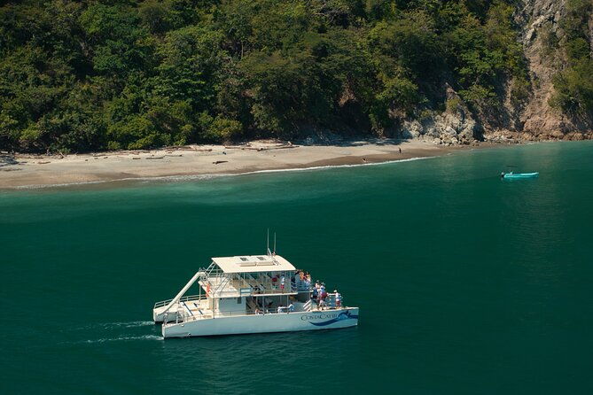 marine-life-watch-and-sunset-cruise-with-costa-cat