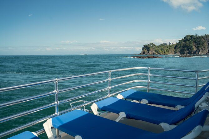 marine-life-watch-and-sunset-cruise-with-costa-cat