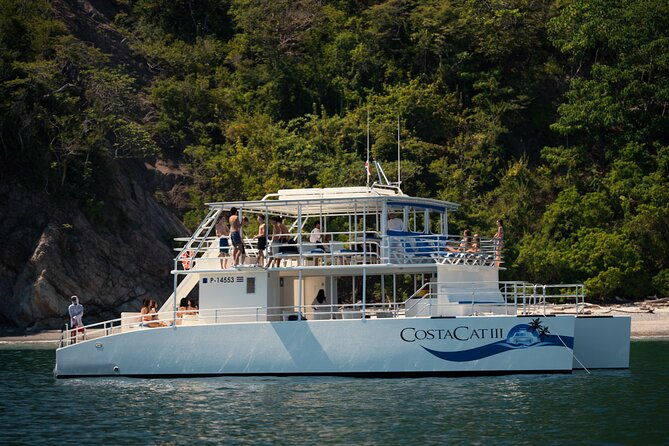 marine-life-watch-and-sunset-cruise-with-costa-cat