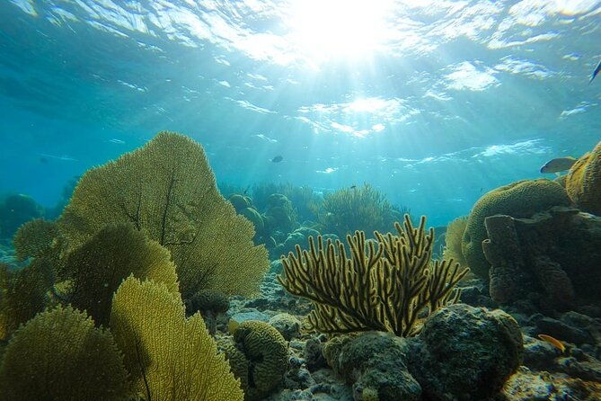 marine-park-private-boat-charter-with-local-captain-guide