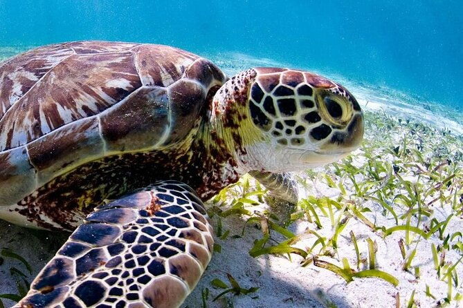 marine-park-private-boat-charter-with-local-captain-guide