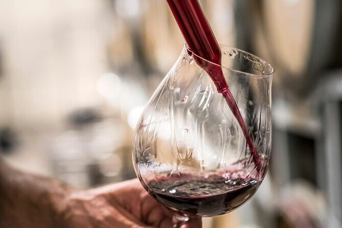 Marlborough Afternoon Wine Tour Taste Local Wines - Why You Might Enjoy This Tour