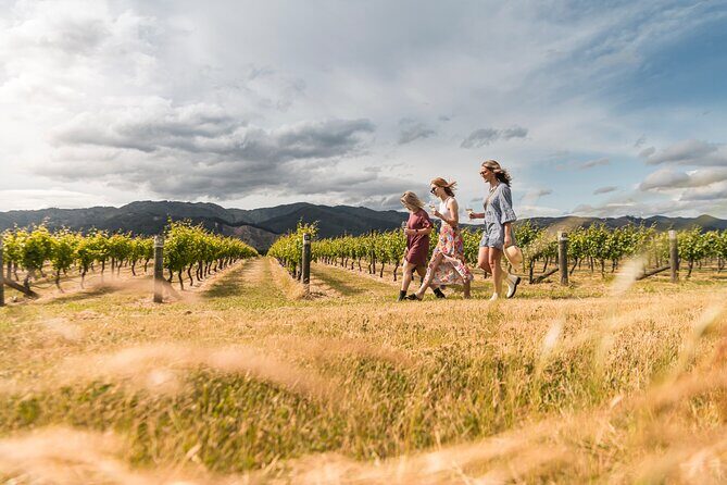 Marlborough Afternoon Wine Tour with Tastings - An In-depth Look at the Marlborough Afternoon Wine Tour