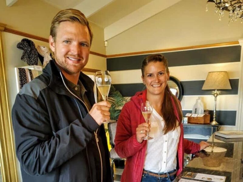 Marlborough: Blenheim Half day Wine Tour; Wine Only - Exploring Marlborough’s Wine Scene in Just a Few Hours