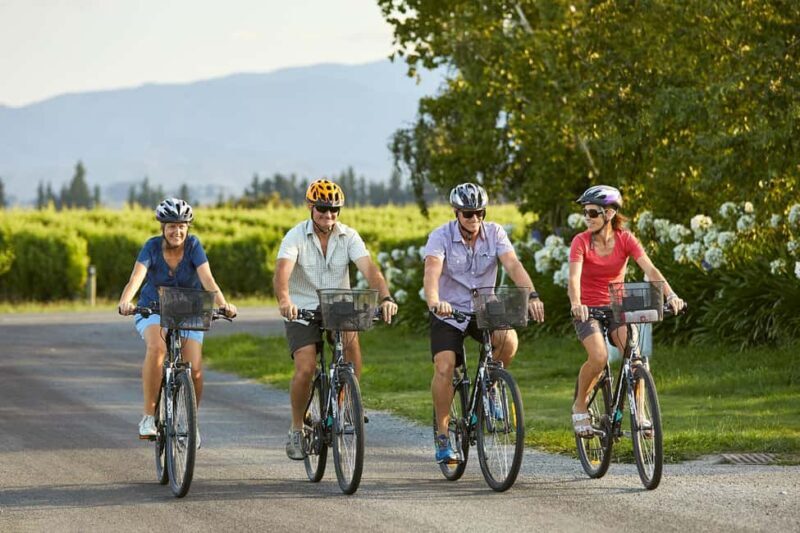 Marlborough: Full-Day Self-Guided Biking Wine Tour - Key Points