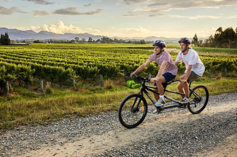 Marlborough: Full-Day Self-Guided Biking Wine Tour - Exploring Marlborough on Two Wheels