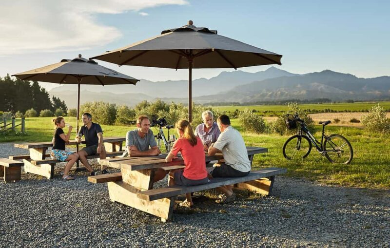 Marlborough: Full-Day Self-Guided Biking Wine Tour - Authentic Experiences from Reviewers