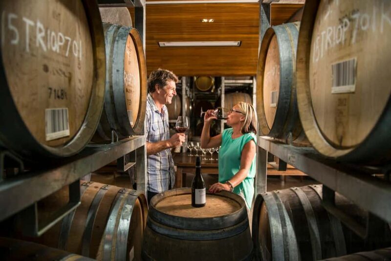 Marlborough: Full-Day Wine and Seafood Tour with Cruise - An In-Depth Look at the Tour