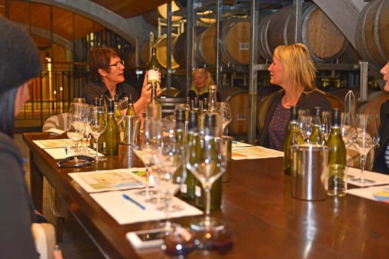 Marlborough Full Day Wine Tour from Picton - The Value and Practicalities