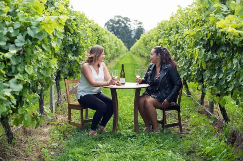 Marlborough Half Day Wine Tour From Blenheim 1.30pm - An In-Depth Look at the Marlborough Half Day Wine Tour