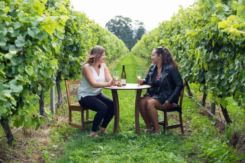 Marlborough Half Day Wine Tour From Blenheim - The Sum Up