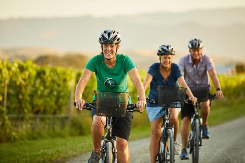 Marlborough: Half Guided and Half Self-Guided Bike Wine Tour - Key Points